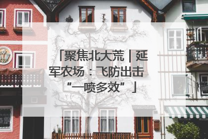 聚焦北大荒｜延军农场：飞防出击 “一喷多效”